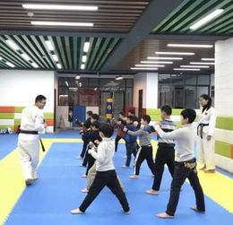 揭秘“跟我学艺术”加盟 它是否是一笔可靠的认知投资？
